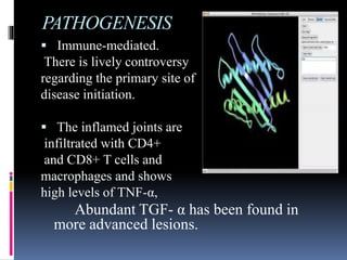 PATHOGENESIS
 Immune-mediated.
There is lively controversy
regarding the primary site of
disease initiation.
 The inflamed joints are
infiltrated with CD4+
and CD8+ T cells and
macrophages and shows
high levels of TNF-α,
Abundant TGF- α has been found in
more advanced lesions.
 