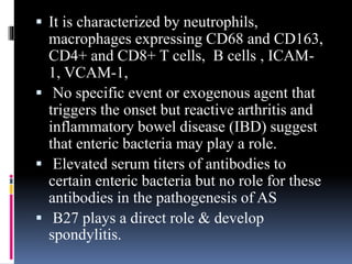  It is characterized by neutrophils,
macrophages expressing CD68 and CD163,
CD4+ and CD8+ T cells, B cells , ICAM-
1, VCAM-1,
 No specific event or exogenous agent that
triggers the onset but reactive arthritis and
inflammatory bowel disease (IBD) suggest
that enteric bacteria may play a role.
 Elevated serum titers of antibodies to
certain enteric bacteria but no role for these
antibodies in the pathogenesis of AS
 B27 plays a direct role & develop
spondylitis.
 