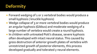  Forward wedging of 1 or 2 vertebral bodies would produce a
small kyphosis ( knuckle kyphosis)
 Wedge collapse of 3 or more vertebral bodies would produce
an angular kyphosis (Gibbus) and moderate wedging of a
large number of vertebra would create a round kyphosis.
 In children with untreated Pott’s disease, severe kyphosis
often developed with intact neural status.This caused by
gross destruction of anterior growth plates of vertebra with
unrestricted growth of posterior elements, this process
developed gradually and tolerated y neural elements.
 