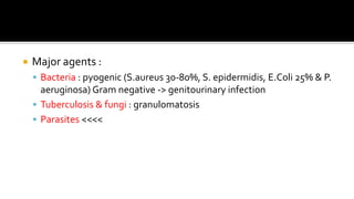  Major agents :
 Bacteria : pyogenic (S.aureus 30-80%, S. epidermidis, E.Coli 25% & P.
aeruginosa) Gram negative -> genitourinary infection
 Tuberculosis & fungi : granulomatosis
 Parasites <<<<
 