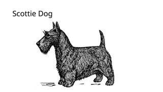 Scottie Dog
 