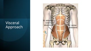 Visceral
Approach
 