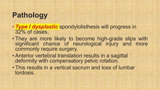 Pathology
• Type I dysplastic spondylolisthesis will progress in
32% of cases.
• They are more likely to become high-grade slips with
significant chance of neurological injury and more
commonly require surgery.
• Anterior vertebral translation results in a sagittal
deformity with compensatory pelvic rotation.
• This results in a vertical sacrum and loss of lumbar
lordosis.
 