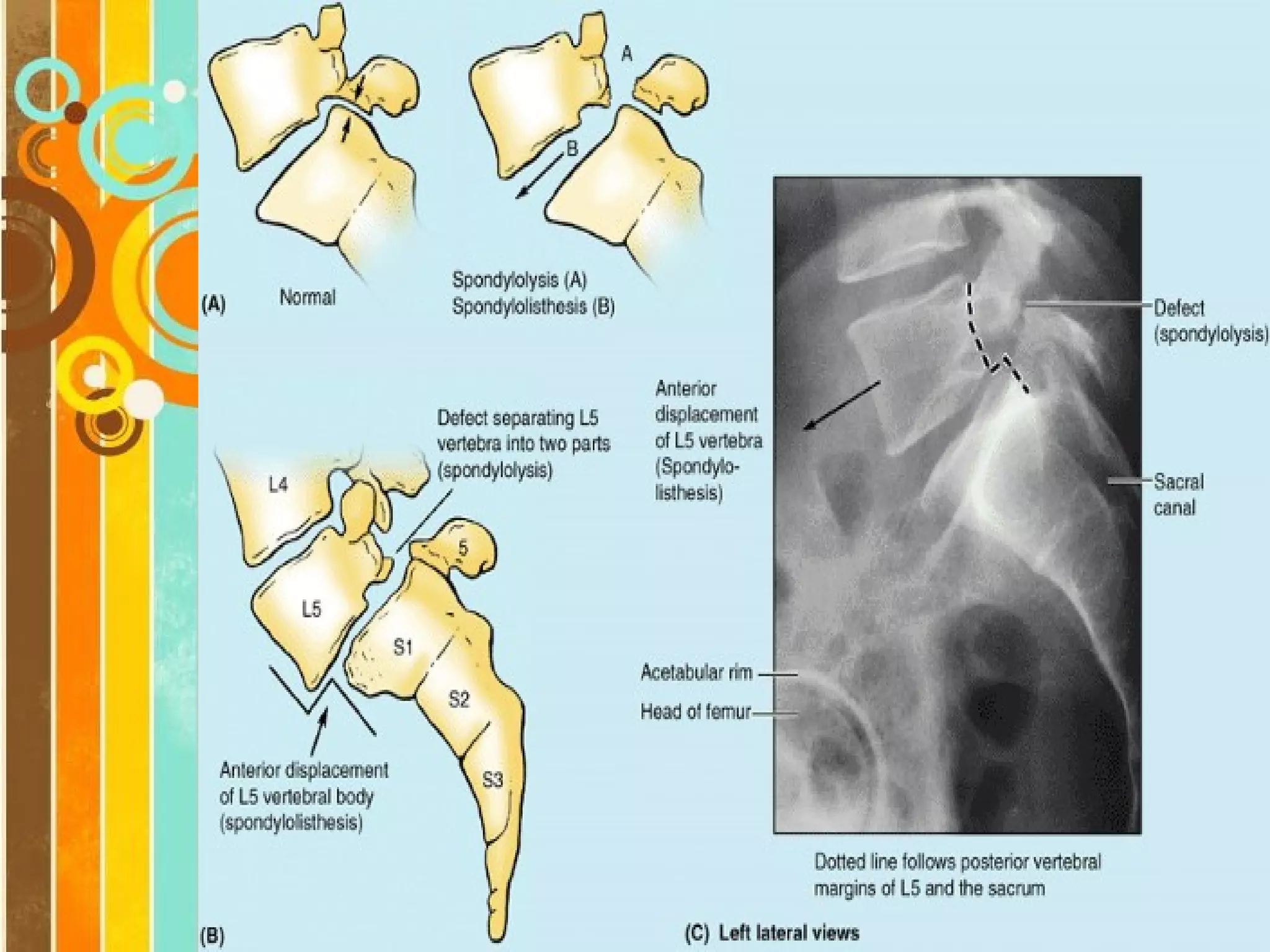 Free Powerpoint Templates

Page 33

 