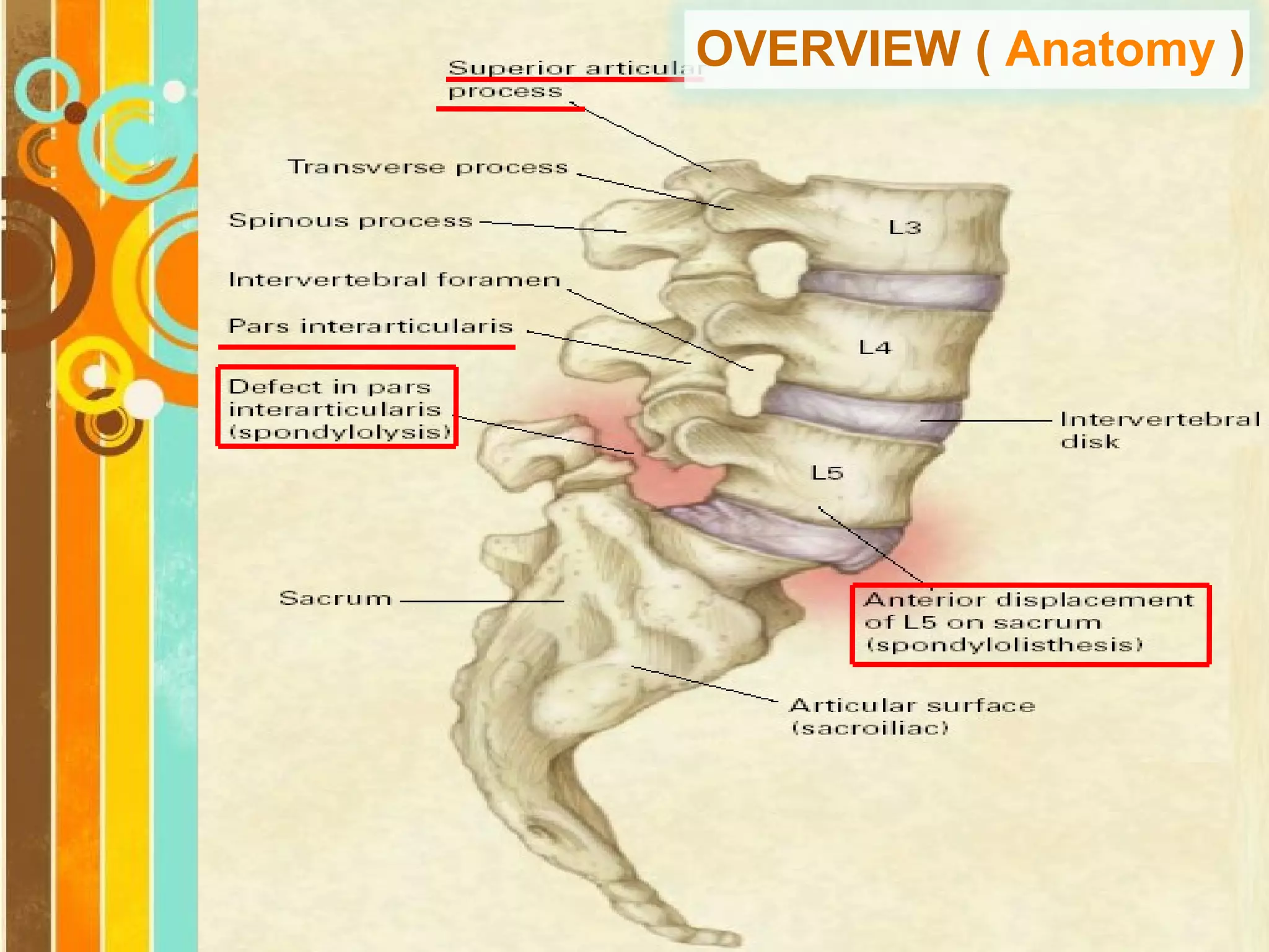 OVERVIEW ( Anatomy )

Free Powerpoint Templates

Page 5

 