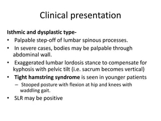 Clinical presentation
Isthmic and dysplastic type-
• Palpable step-off of lumbar spinous processes.
• In severe cases, bodies may be palpable through
abdominal wall.
• Exaggerated lumbar lordosis stance to compensate for
kyphosis with pelvic tilt (i.e. sacrum becomes vertical)
• Tight hamstring syndrome is seen in younger patients
– Stooped posture with flexion at hip and knees with
waddling gait.
• SLR may be positive
 