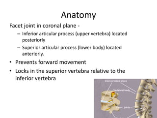 Anatomy
Facet joint in coronal plane -
– Inferior articular process (upper vertebra) located
posteriorly
– Superior articular process (lower body) located
anteriorly.
• Prevents forward movement
• Locks in the superior vertebra relative to the
inferior vertebra
 