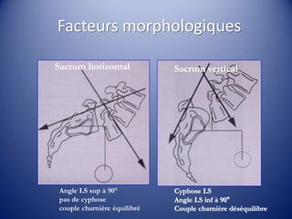 Facteurs morphologiques
Angle LS sup à 90°
pas de cyphose
couple charnière équilibré
Cyphose LS
Angle LS inf à 90°
Couple charnière déséquilibre
Sacrum horizontal Sacrum vertical
 