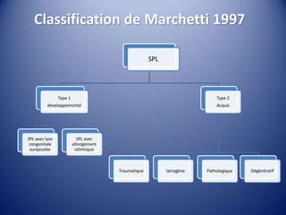 Classification de Marchetti 1997
SPL
Type 1
développemental
SPL avec lyse
congenitale
surajoutée
SPL avec
allongement
isthmique
Type 2
Acquis
Traumatique Iatrogène Pathologique Dégénératif
 
