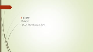  X-RAY
shows :
“ SCOTTISH DOG SIGN”
 