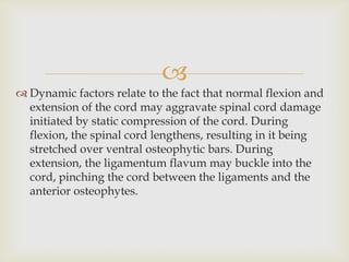 
 Dynamic factors relate to the fact that normal flexion and
extension of the cord may aggravate spinal cord damage
initiated by static compression of the cord. During
flexion, the spinal cord lengthens, resulting in it being
stretched over ventral osteophytic bars. During
extension, the ligamentum flavum may buckle into the
cord, pinching the cord between the ligaments and the
anterior osteophytes.
 