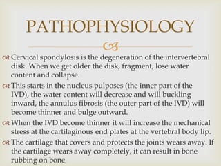 
 Cervical spondylosis is the degeneration of the intervertebral
disk. When we get older the disk, fragment, lose water
content and collapse.
 This starts in the nucleus pulposes (the inner part of the
IVD), the water content will decrease and will buckling
inward, the annulus fibrosis (the outer part of the IVD) will
become thinner and bulge outward.
 When the IVD become thinner it will increase the mechanical
stress at the cartilaginous end plates at the vertebral body lip.
 The cartilage that covers and protects the joints wears away. If
the cartilage wears away completely, it can result in bone
rubbing on bone.
PATHOPHYSIOLOGY
 