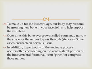 
 To make up for the lost cartilage, our body may respond
by growing new bone in your facet joints to help support
the vertebrae.
 Over time, this bone overgrowth called spurs may narrow
the space for the nerves to pass through (stenosis). Some
cases, encroach on nervous tissue.
 In addition, hypertrophy of the uncinate process
occurs, often encroaching on the ventrolateral portion of
the intervertebral foramina. It can "pinch" or compress
those nerves.
 