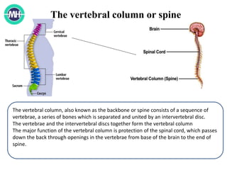 6 Best Homeopathic Medicines for Cervical spondylitis and Neck Pain. | PPTX