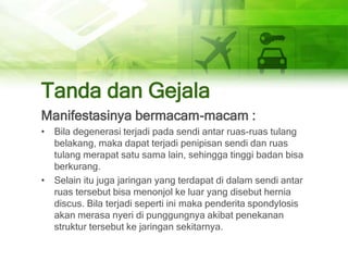 Tanda dan Gejala
Manifestasinya bermacam-macam :
• Bila degenerasi terjadi pada sendi antar ruas-ruas tulang
belakang, maka dapat terjadi penipisan sendi dan ruas
tulang merapat satu sama lain, sehingga tinggi badan bisa
berkurang.
• Selain itu juga jaringan yang terdapat di dalam sendi antar
ruas tersebut bisa menonjol ke luar yang disebut hernia
discus. Bila terjadi seperti ini maka penderita spondylosis
akan merasa nyeri di punggungnya akibat penekanan
struktur tersebut ke jaringan sekitarnya.
 