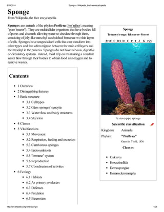 Sponge | PDF