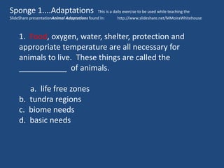 Sponge 1....Adaptations                       This is a daily exercise to be used while teaching the
SlideShare presentationAnimal Adaptations found in:       http://www.slideshare.net/MMoiraWhitehouse



    1. Food, oxygen, water, shelter, protection and
    appropriate temperature are all necessary for
    animals to live. These things are called the
    ___________ of animals.

       a. life free zones
    b. tundra regions
    c. biome needs
    d. basic needs
 