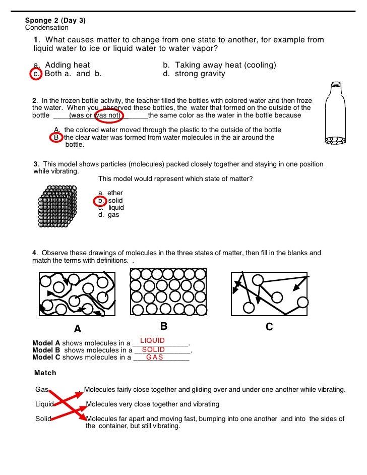Worksheets The Water Cycle Worksheet Answers water cycle worksheets answers the air making alcohol vapor 2