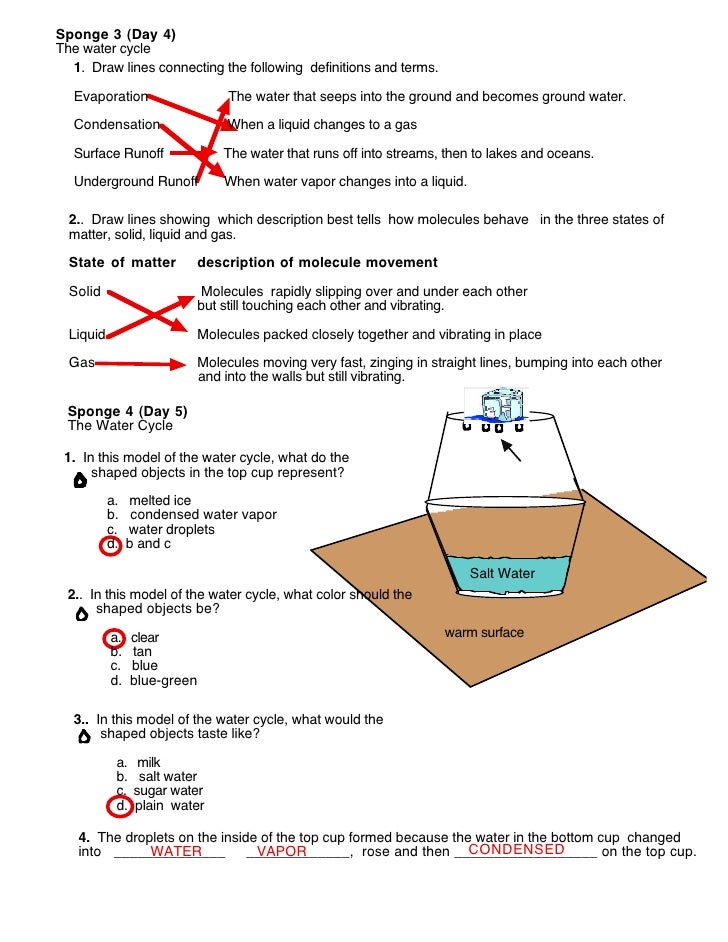 Worksheets The Water Cycle Worksheet Answers water cycle worksheets answers 3 sponge day 4the cycle