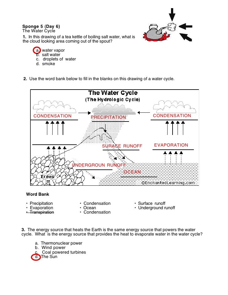  Water Cycle Worksheet Answers Free Download Goodimg co