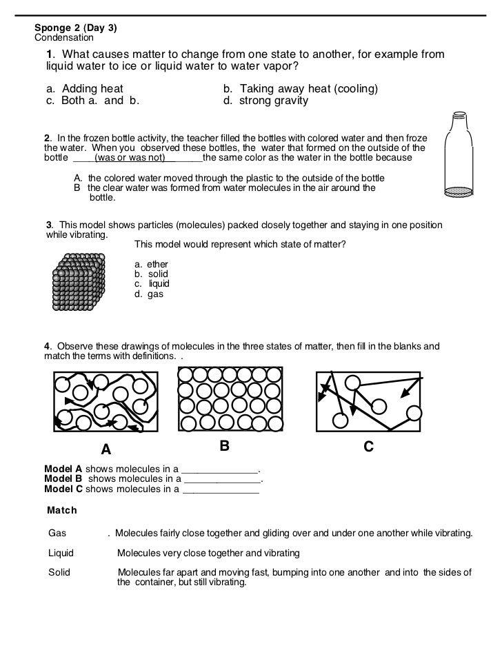 questions grade test chemistry 7 grade Matter Worksheet 7th states worksheet of Grade matter Of 7th questions grade test chemistry 7 grade Matter Worksheet 7th states worksheet of Grade matter Of 7th