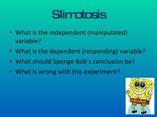 Slimotosis What is the independent (manipulated) variable? What is the dependent (responding) variable? What should Sponge Bob’s conclusion be? What is wrong with this experiment? 