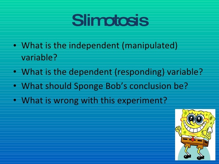 Sponge Bob Science Investigations Regular
