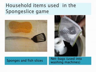 Net-bags (used into
Sponges and fish slices
                          washing machines)
 