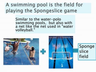 Similar to the water-polo
swimming pools, but also with
a net like the net used in "water
volleyball."



                                    Sponge
                                    slice
                                    field
 
