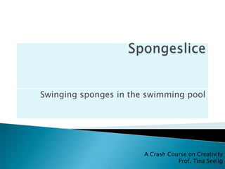 Swinging sponges in the swimming pool




                       A Crash Course on Creativity
                                  Prof. Tina Seelig
 