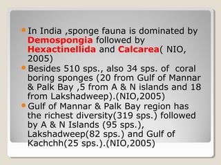 Sponges of india