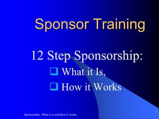 Sponsor Training 12 Step Sponsorship:   ,[object Object]
