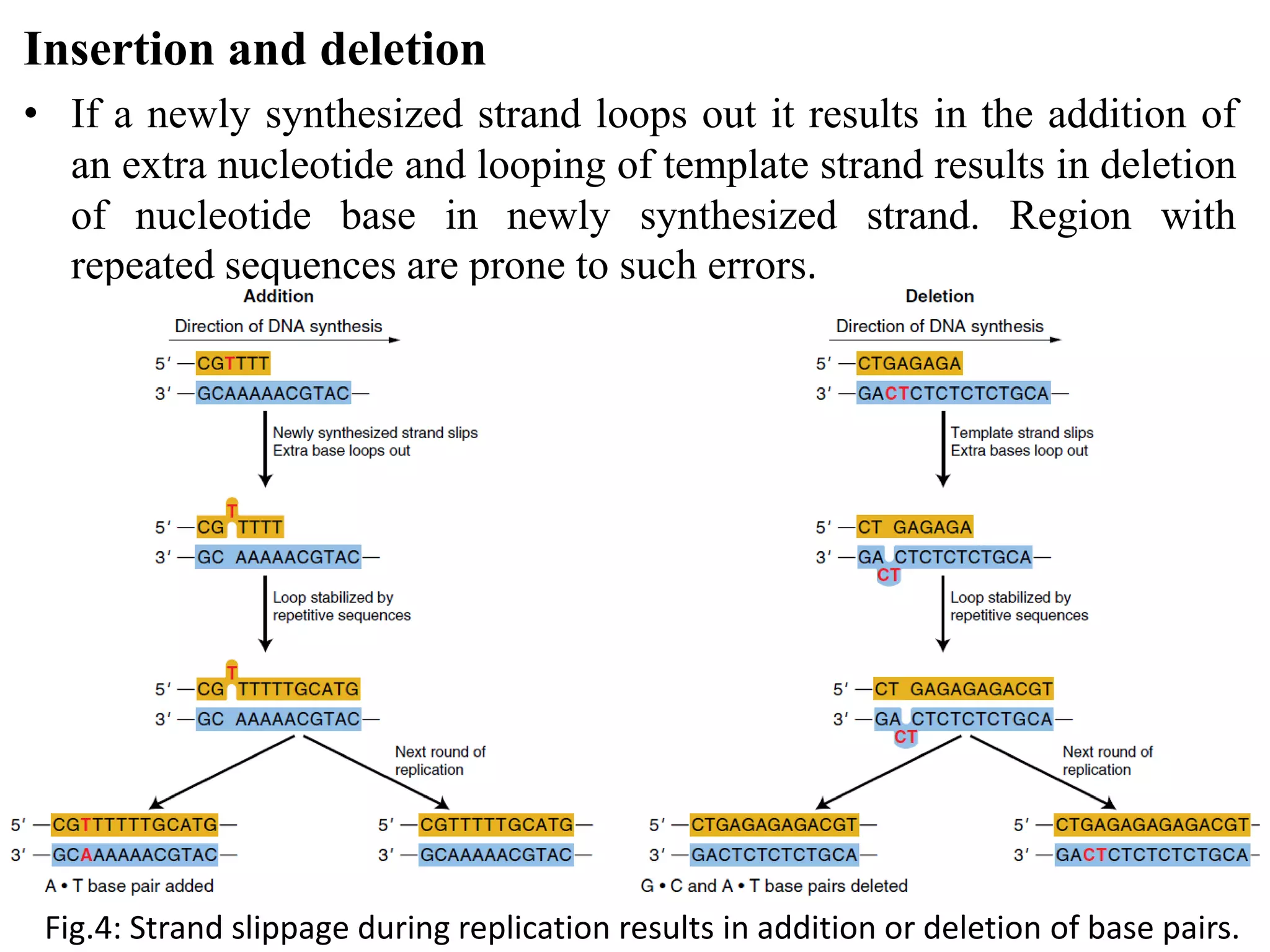 Spontaneous mutation | PPTX