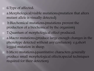  6.Type of affected: 
 a.Morphological/visible mutations:(mutation that alters 
mutant allele is visually detected) 
 b.Biochemical mutations:(mutations prevent the 
production of a biochemical by the organism) 
 7.Quantum of morphological effect produced: 
 a.Macro mutations:(produce large enough changes in the 
phenotype detected without any confusion) e.g:short 
legged mutation in sheep. 
 b.Micro mutations:(quantitative characters generally 
produce small morphological effects,special techniques 
required for their detection) 
 