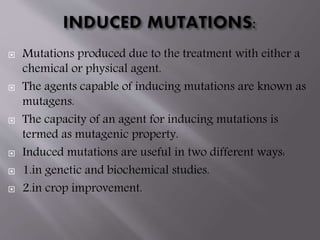  Mutations produced due to the treatment with either a 
chemical or physical agent. 
 The agents capable of inducing mutations are known as 
mutagens. 
 The capacity of an agent for inducing mutations is 
termed as mutagenic property. 
 Induced mutations are useful in two different ways: 
 1.in genetic and biochemical studies. 
 2.in crop improvement. 
 