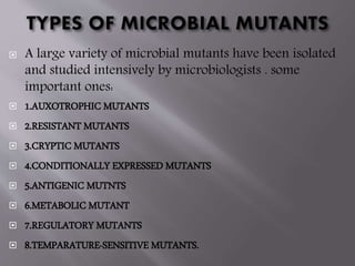  A large variety of microbial mutants have been isolated 
and studied intensively by microbiologists . some 
important ones: 
 1.AUXOTROPHIC MUTANTS 
 2.RESISTANT MUTANTS 
 3.CRYPTIC MUTANTS 
 4.CONDITIONALLY EXPRESSED MUTANTS 
 5.ANTIGENIC MUTNTS 
 6.METABOLIC MUTANT 
 7.REGULATORY MUTANTS 
 8.TEMPARATURE-SENSITIVE MUTANTS. 
 