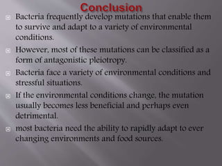  Bacteria frequently develop mutations that enable them 
to survive and adapt to a variety of environmental 
conditions. 
 However, most of these mutations can be classified as a 
form of antagonistic pleiotropy. 
 Bacteria face a variety of environmental conditions and 
stressful situations. 
 If the environmental conditions change, the mutation 
usually becomes less beneficial and perhaps even 
detrimental. 
 most bacteria need the ability to rapidly adapt to ever 
changing environments and food sources. 
 