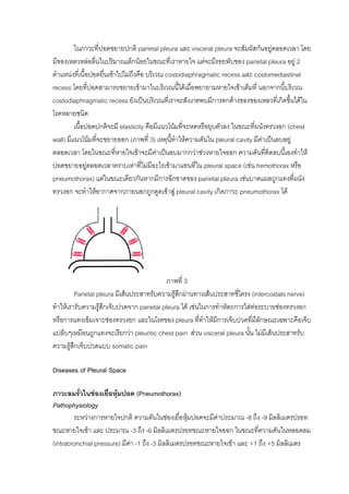 ในภาวะที่ปอดขยายปกติ parietal pleura และ visceral pleura จะสัมผัสกันอยูตลอดเวลา โดย
มีของเหลวหลอลื่นในปริมาณเล็กนอยในขณะที่เราหายใจ แตจะมีรอยพับของ parietal pleura อยู 2
ตําแหนงทีเ่ นื้อปอดยื่นเขาไปไมถึงคือ บริเวณ costodiaphragmatic recess และ costomediastinal
recess โดยทีปอดสามารถขยายเขามาในบริเวณนี้ไดเมื่อพยายามหายใจเขาเต็มที่ นอกจากนี้บริเวณ
                   ่
costodiaphragmatic recess ยังเปนบริเวณที่เราจะสังเกตพบมีการตกคางของของเหลวทีเ่ กิดขึ้นไดใน
โรคหลายชนิด
         เนื้อปอดปกติจะมี elasticity คือมีแนวโนมที่จะหดหรือยุบตัวลง ในขณะที่ผนังทรวงอก (chest
wall) มีแนวโนมที่จะขยายออก (ภาพที่ 3) เหตุนทําใหความดันใน pleural cavity มีคาเปนลบอยู
                                                 ี้
ตลอดเวลา โดยในขณะทีหายใจเขาจะมีคาเปนลบมากกวาชวงหายใจออก ความดันที่ติดลบนี้เองทําให
                            ่                
ปอดขยายอยูตลอดเวลาตราบเทาที่ไมมีอะไรเขามาแทนที่ใน pleural space (เขน hemothorax หรือ
                 
pneumothorax) แตในขณะเดียวกันหากมีการฉีกขาดของ parietal pleura เชนบาดแผลถูกแทงทีผนัง     ่
ทรวงอก จะทําใหอากาศจากภายนอกถูกดูดเขาสู pleural cavity เกิดภาวะ pneumothorax ได




                                           ภาพที่ 3
         Parietal pleura มีเสนประสาทรับความรูสกผานทางเสนประสาทซีโครง (intercostals nerve)
                                                ึ                     ่
ทําใหเรารับความรูสึกเจ็บปวดจาก parietal pleura ได เชนในการทําหัตถการใสทอระบายชองทรวงอก
หรือการแทงเข็มเจาะชองทรวงอก และในโรคของ pleura ที่ทาใหมีการเจ็บปวดที่มีลกษณะเฉพาะคือเจ็บ
                                                          ํ                    ั
แปล็บๆเหมือนถูกแทงจะเรียกวา pleuritic chest pain สวน visceral pleura นั้น ไมมีเสนประสาทรับ
ความรูสึกเจ็บปวดแบบ somatic pain

Diseases of Pleural Space

ภาวะลมรัวในชองเยื่อหุมปอด (Pneumothorax)
          ่
Pathophysiology
        ระหวางการหายใจปกติ ความดันในชองเยื่อหุมปอดจะมีคาประมาณ -8 ถึง -9 มิลลิเมตรปรอท
ขณะหายใจเขา และ ประมาณ -3 ถึง -6 มิลลิเมตรปรอทขณะหายใจออก ในขณะทีความดันในหลอดลม
                                                                           ่
(intrabronchial pressure) มีคา -1 ถึง -3 มิลลิเมตรปรอทขณะหายใจเขา และ +1 ถึง +5 มิลลิเมตร
 