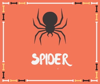 SPIDER
 