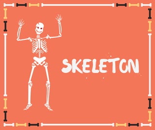 SKELETON
 