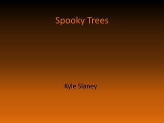 Spooky Trees Kyle Slaney 