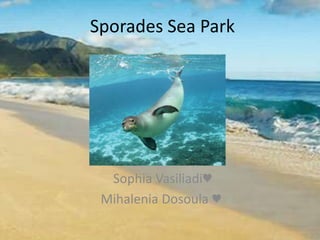 Sporades Sea Park
Sophia Vasiliadi♥
Mihalenia Dosoula ♥
 