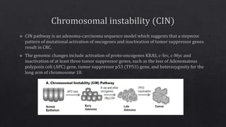 Sporadic colon cancer