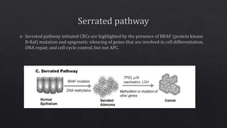Sporadic colon cancer