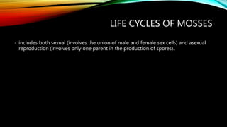 LIFE CYCLES OF MOSSES
- includes both sexual (involves the union of male and female sex cells) and asexual
reproduction (involves only one parent in the production of spores).
 
