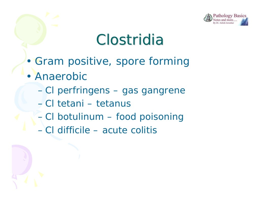 Spore Forming Bacteria Bacillus And Clostridia