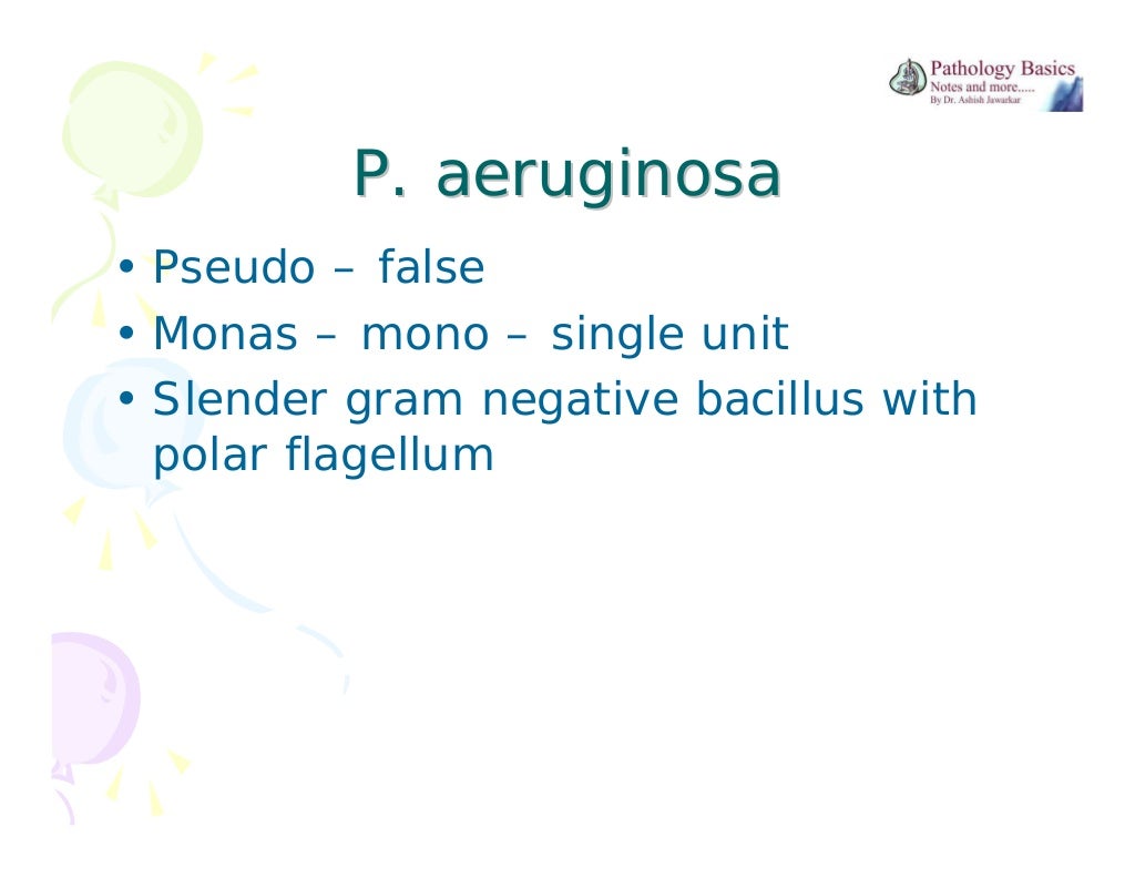 Spore Forming Bacteria Bacillus And Clostridia