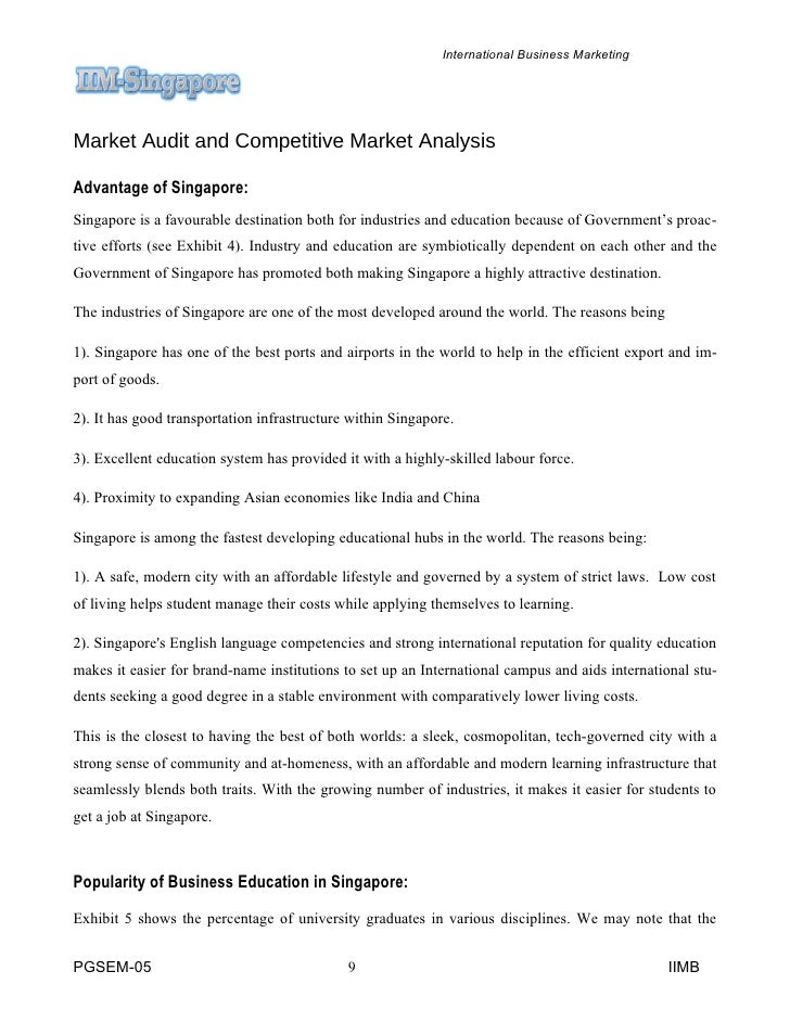 Marketing audit essay
