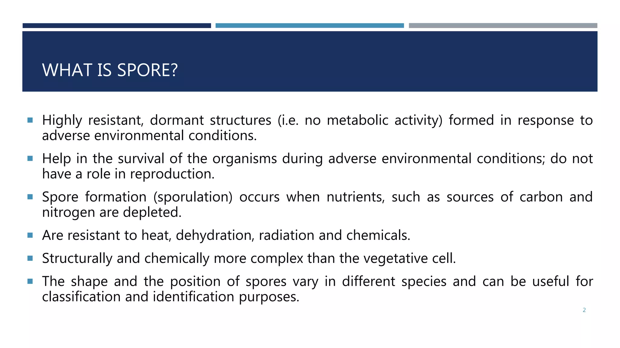WHAT IS SPORE?
 Highly resistant, dormant structures (i.e. no metabolic activity) formed in response to
adverse environmental conditions.
 Help in the survival of the organisms during adverse environmental conditions; do not
have a role in reproduction.
 Spore formation (sporulation) occurs when nutrients, such as sources of carbon and
nitrogen are depleted.
 Are resistant to heat, dehydration, radiation and chemicals.
 Structurally and chemically more complex than the vegetative cell.
 The shape and the position of spores vary in different species and can be useful for
classification and identification purposes.
2
 