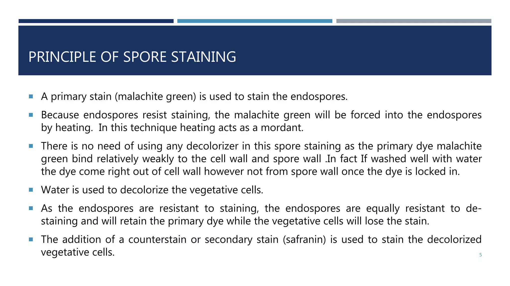 PRINCIPLE OF SPORE STAINING
 A primary stain (malachite green) is used to stain the endospores.
 Because endospores resist staining, the malachite green will be forced into the endospores
by heating. In this technique heating acts as a mordant.
 There is no need of using any decolorizer in this spore staining as the primary dye malachite
green bind relatively weakly to the cell wall and spore wall .In fact If washed well with water
the dye come right out of cell wall however not from spore wall once the dye is locked in.
 Water is used to decolorize the vegetative cells.
 As the endospores are resistant to staining, the endospores are equally resistant to de-
staining and will retain the primary dye while the vegetative cells will lose the stain.
 The addition of a counterstain or secondary stain (safranin) is used to stain the decolorized
vegetative cells. 5
 